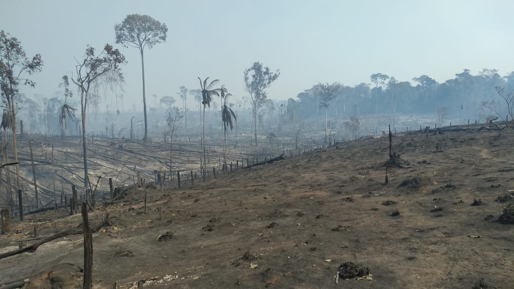 (Queimada) Fogo criminoso destrói vegetação, casas, e mata famílias, em Machadinho d'Oeste - RO.